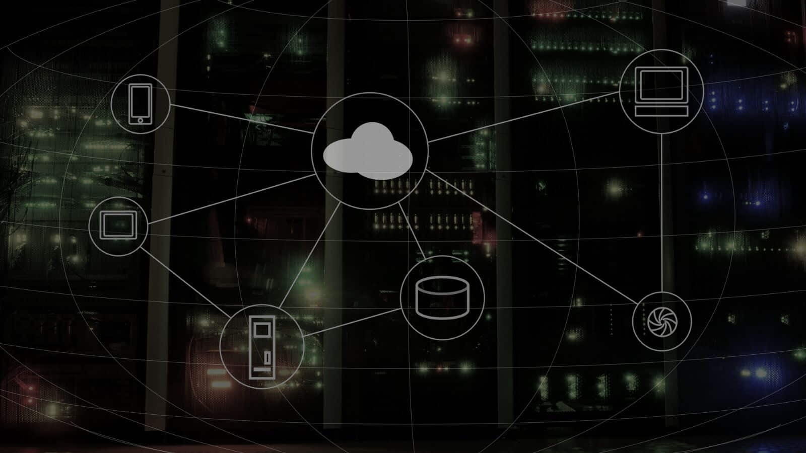 Free Network Assessment for Your Business